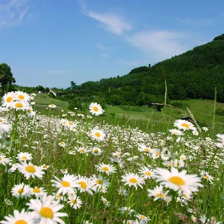 Kleine Foersterhaus Будинок відпочинку Вінтерберг